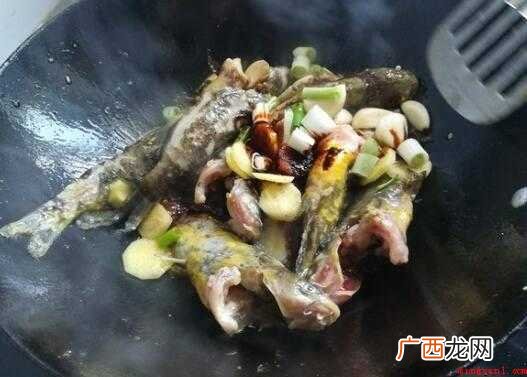红烧黄辣丁的做法_健康频道 黄甲鱼怎么做好吃