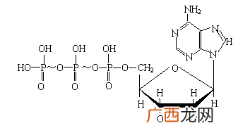化学中H2表示什么意思,化学式h2o2能表示多种意义？