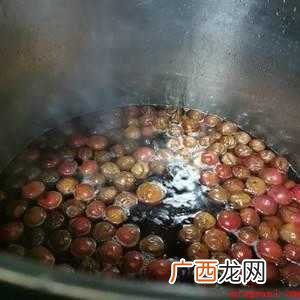 李子干的做法:准备材料 李子干怎么做