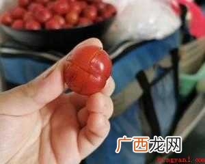 李子干的做法:准备材料 李子干怎么做