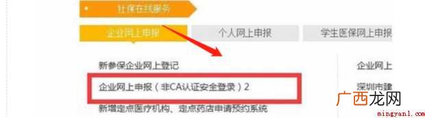 如何导出社保明细