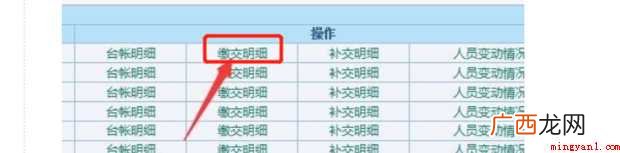 如何导出社保明细