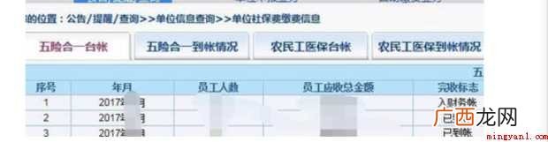 如何导出社保明细