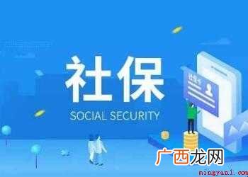 如何导出社保明细