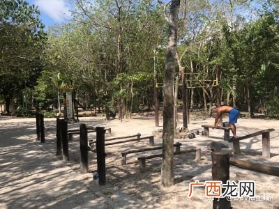 墨西哥真的很乱吗,我要去墨西哥的染织厂打工，有谁了解那里的治安，去那里现在安全吗？