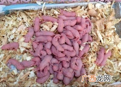三吱儿是哪里的菜,三吱为什么叫三吱？