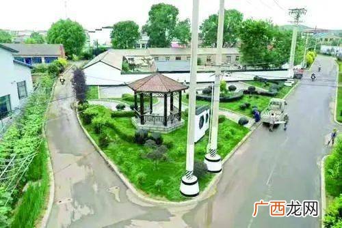 口袋公园是什么意思,什么叫口袋公园？