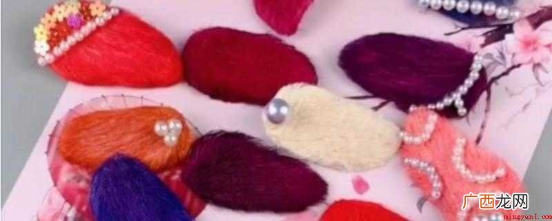 芒果核的底边剪一下,可以插进发卡了 芒果核怎么做工艺品
