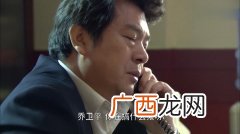 卫平是哪个电视剧,子女剧情介绍?