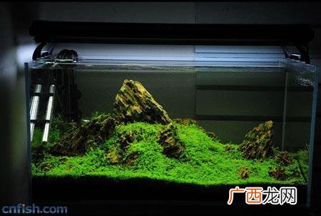 怎样判断鱼缸是否缺氧,怎样测鱼缸里的氮和氨？