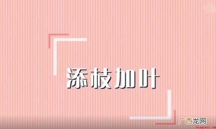 添枝加叶是什么意思