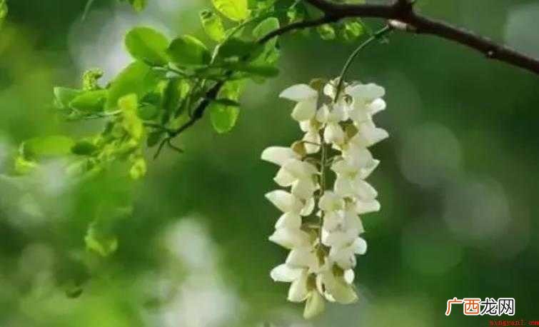 五月份有什么节日 五四青年节源于中国 五月份有什么节日
