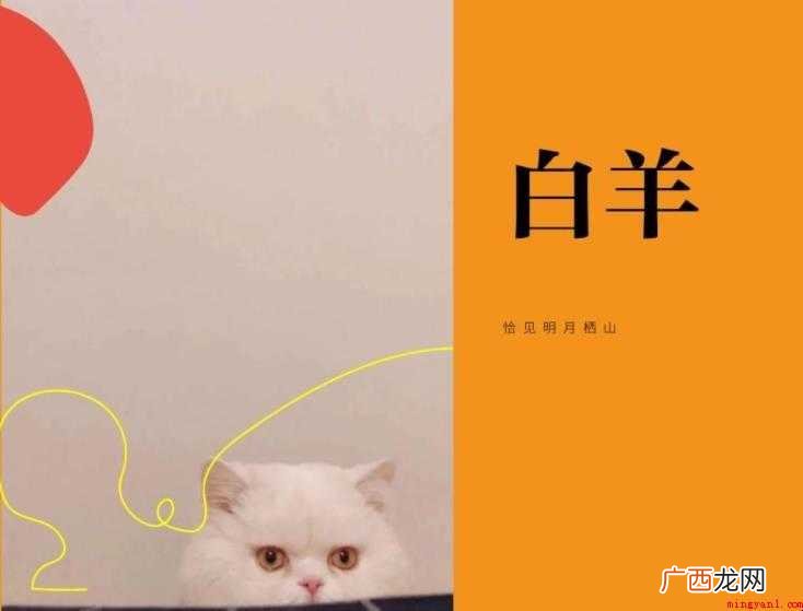 关于《白羊》歌词是什么 《白羊》歌词是什么