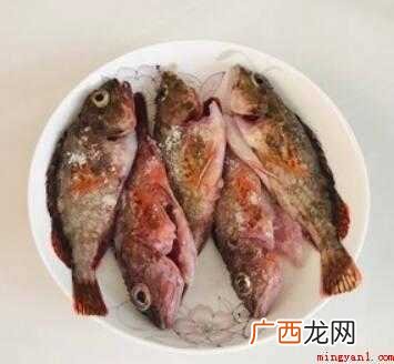 石九公鱼5条,姜2片盐少,陈皮半片,葱叶2片。 石九公做法