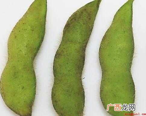 痒痒粉可以用毛桃和毛豆制成 超简单的痒痒粉怎么做