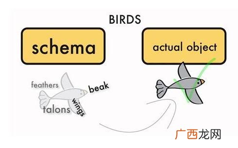 图式是什么意思,什么叫图式?举例说？