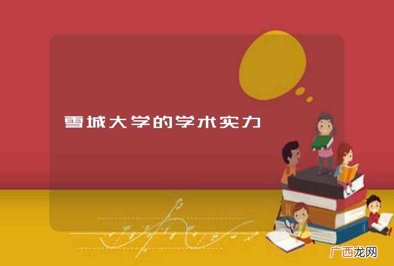 雪城大学的学术实力