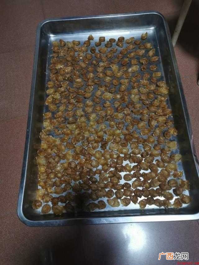 晒龙眼肉的正确方法:剪掉新鲜龙眼的枝梗 晒龙眼肉正确的方法