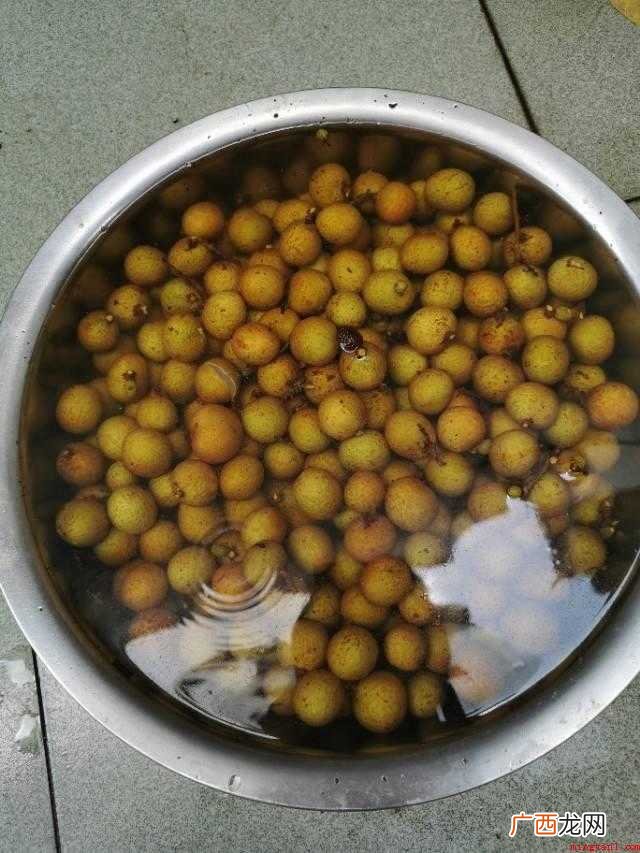 晒龙眼肉的正确方法:剪掉新鲜龙眼的枝梗 晒龙眼肉正确的方法