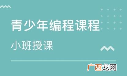 少儿编程是学什么的,少儿编程课学的是什么内容？