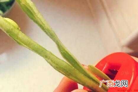 2斤圆豆,去头去尾,无需清洗 东北干豆角丝怎么晒成的
