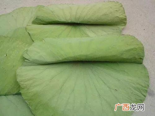 新鲜荷叶怎么制作干荷叶,腌荷叶怎么腌制好吃？