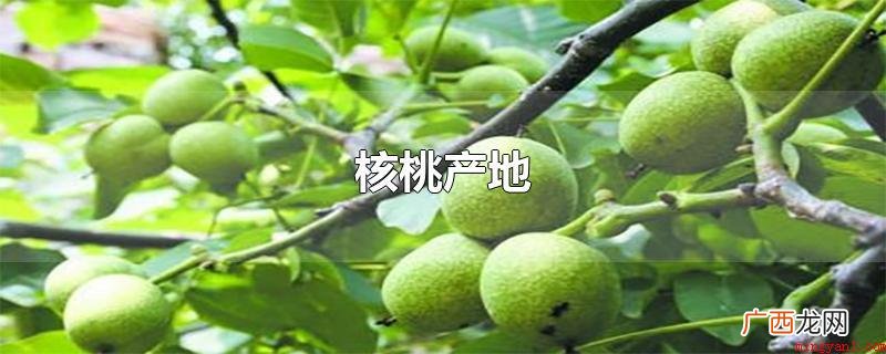 核桃在中国分布广泛,主要产于华北、东北和西北地区 核桃产地