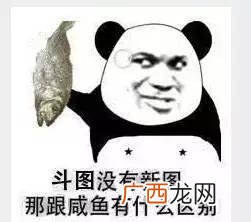 怎么做微信表情包,怎么自己制作表情包？