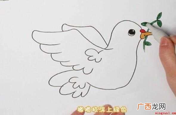和平鸽简笔画怎么画【图文】 和平鸽简笔画怎么画