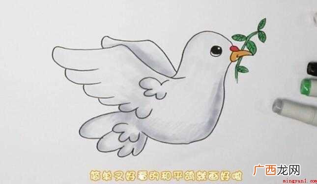 和平鸽简笔画怎么画【图文】 和平鸽简笔画怎么画