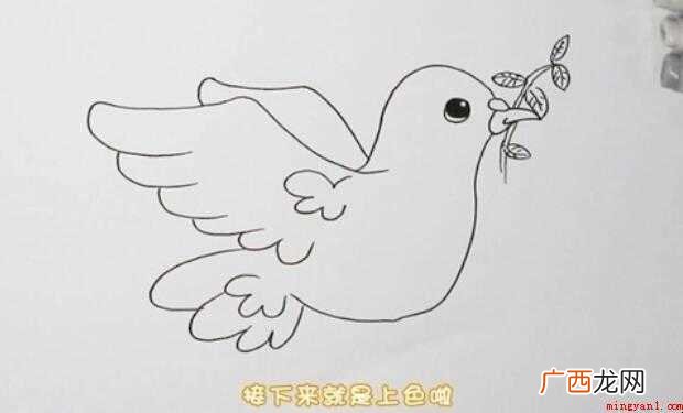 和平鸽简笔画怎么画【图文】 和平鸽简笔画怎么画