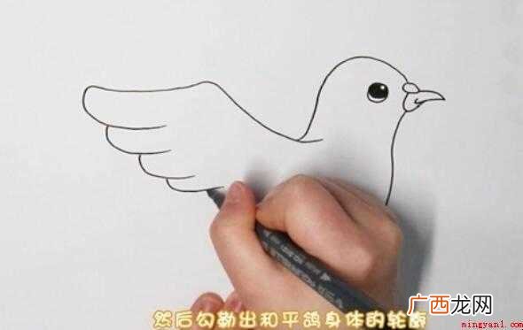 和平鸽简笔画怎么画【图文】 和平鸽简笔画怎么画
