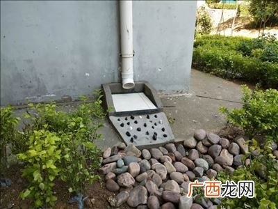 无根水是什么水,雨水叫什么水？