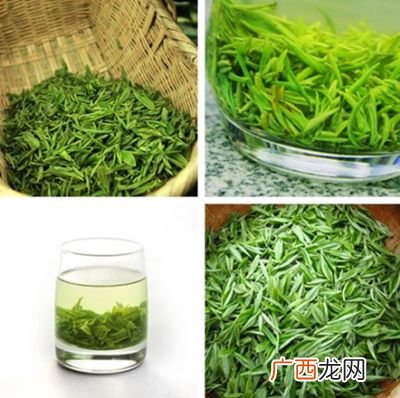 毛尖属于什么茶,毛尖是啥做的?