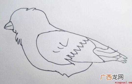 麻雀简笔画怎么画 全部内容了 麻雀简笔画怎么画