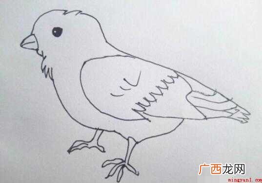 麻雀简笔画怎么画 全部内容了 麻雀简笔画怎么画