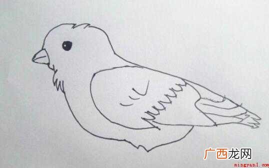 麻雀简笔画怎么画 全部内容了 麻雀简笔画怎么画
