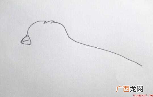 麻雀简笔画怎么画 全部内容了 麻雀简笔画怎么画