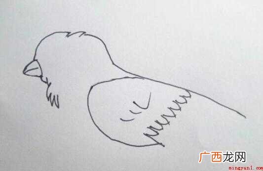 麻雀简笔画怎么画 全部内容了 麻雀简笔画怎么画