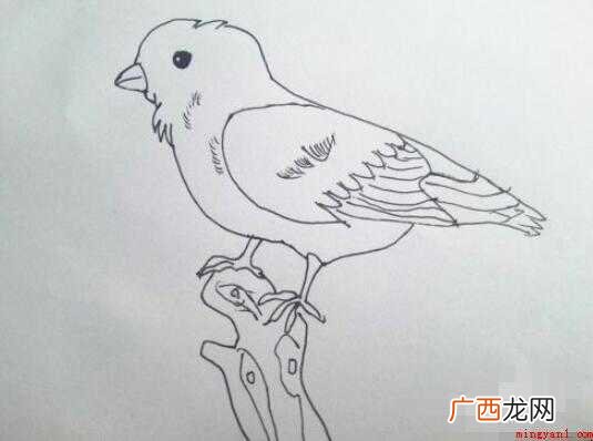麻雀简笔画怎么画 全部内容了 麻雀简笔画怎么画