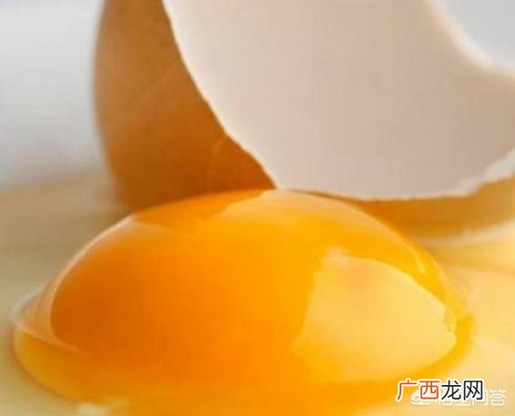 猫粮狗能吃吗,猫粮狗能吃吗？