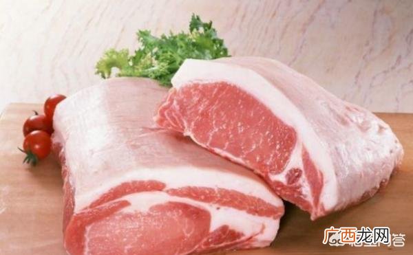 猫粮狗能吃吗,猫粮狗能吃吗？