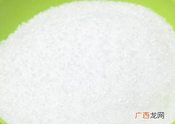 猫粮狗能吃吗,猫粮狗能吃吗？