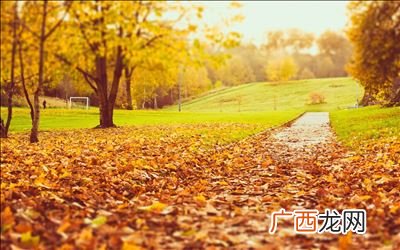 为什么说秋天是丰收的季节,我喜欢秋天是因为什么？