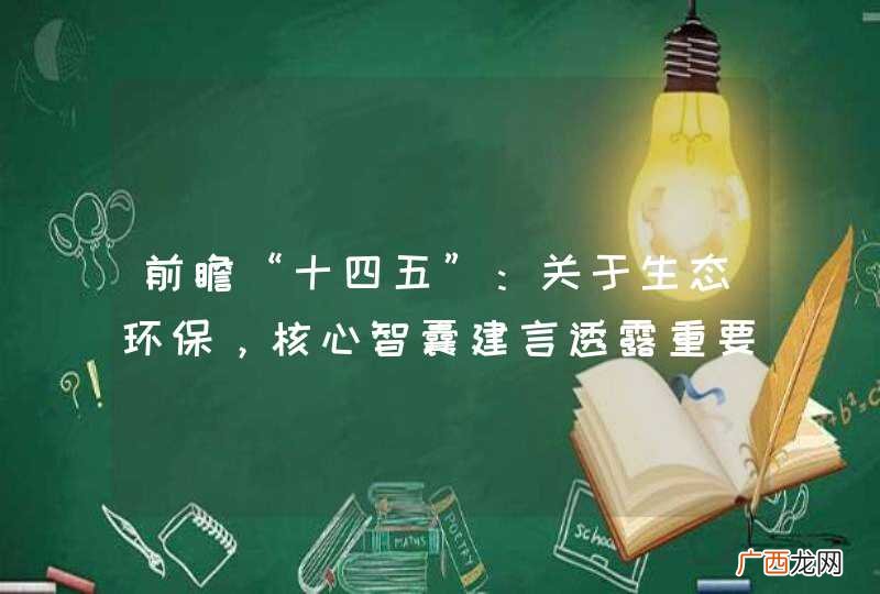 前瞻“十四五”：关于生态环保，核心智囊建言透露重要信号