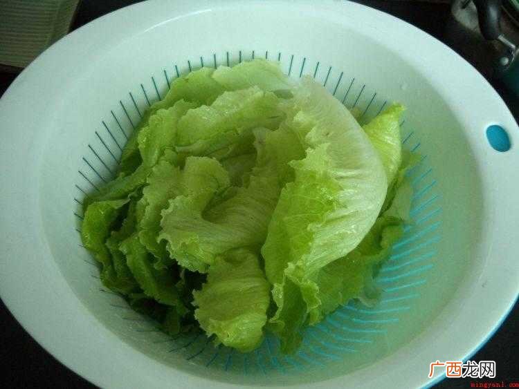 生菜的做法_健康频道 蚝油生菜怎么做窍门