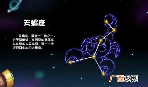 天蝎座最怕什么星座,为什么说摩羯座是天蝎座的克星?