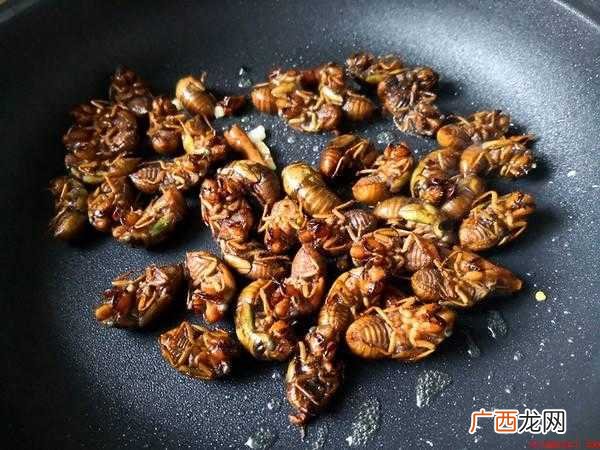 男性腹腔第一、二节有鸣器,雌虫无鸣器 爬叉怎么吃