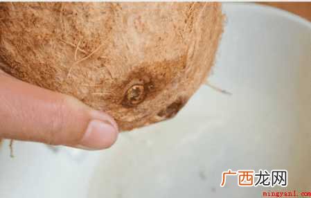 椰子打开方法:把椰子放在手掌上,放一个盆或一个大碗 椰子怎么打开