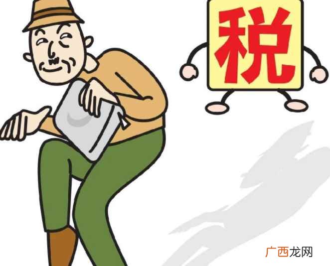 逃税是什么意思
